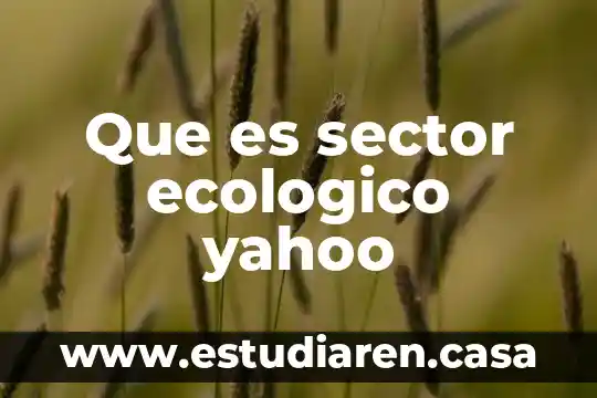 Que es un blooper yahoo 7 Que es sector ecologico yahoo