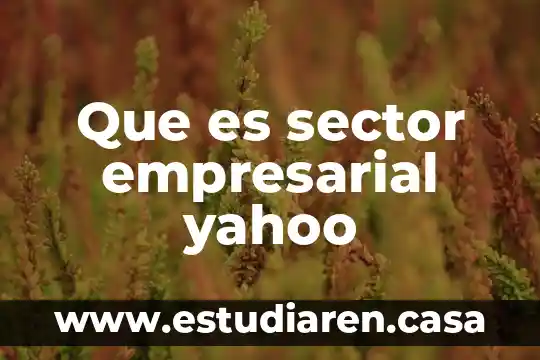 Que es sector empresarial yahoo