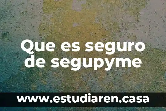 Que es seguro de segupyme