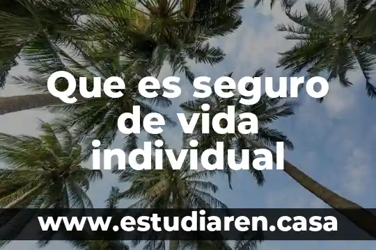 Que es seguro de vida individual
