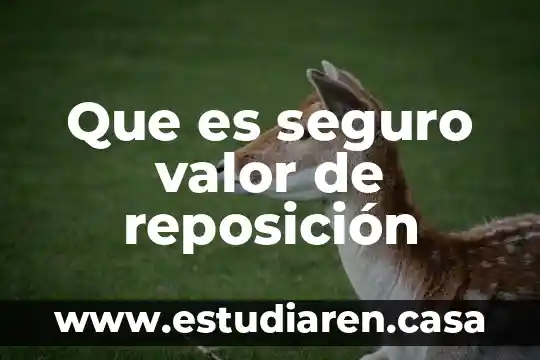 Que es seguro valor de reposición