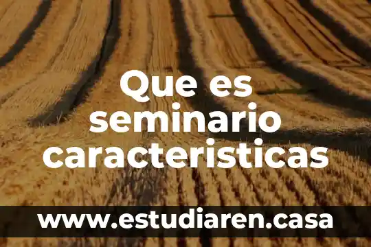 Que es seminario caracteristicas