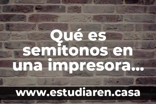Qué es la unidad de fusor de impresora 5 Qué es semitonos en una impresora de punto