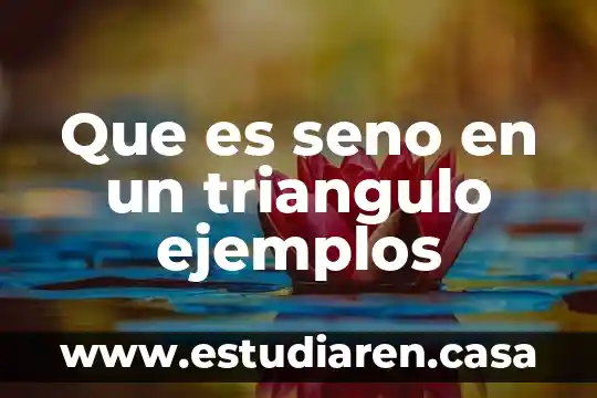 Que es seno en un triangulo ejemplos