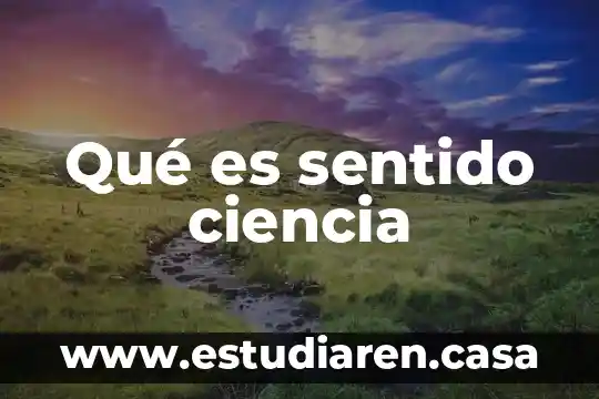 Que es sentido de pertenencia competencia personal y liderazgo 8 Qué es sentido ciencia
