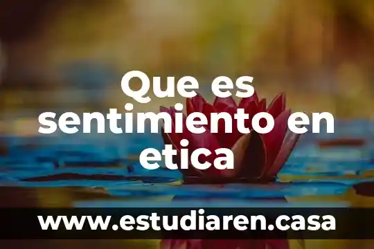 Que es el sentimiento amoral 3 Que es sentimiento en etica