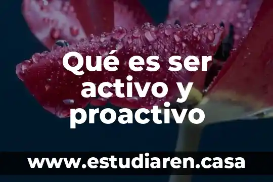 Que es ser proactivo y como saber si lo eres 7 Qué es ser activo y proactivo