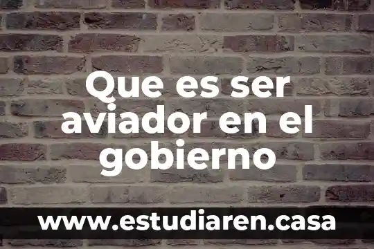 Que es ser aviador en el gobierno