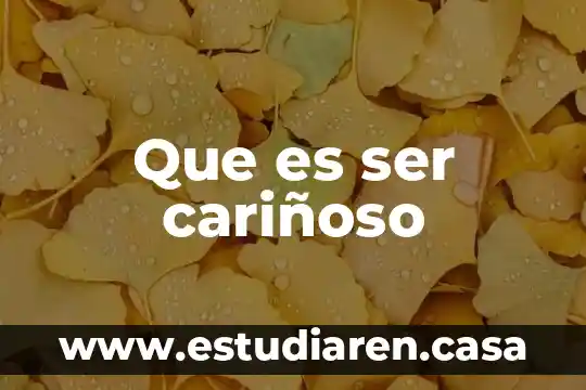 Que es ser un ciudadano responsable del mundo 6 Que es ser cariñoso