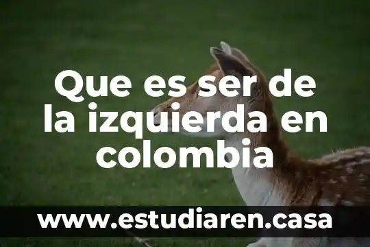 Que es ser de la izquierda en colombia