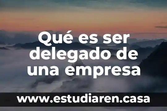 Que es entrada y salida de una empresa 7 Qué es ser delegado de una empresa
