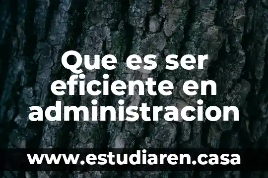 Que es ser eficiente en administracion