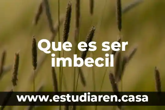 Que es ser imbecil