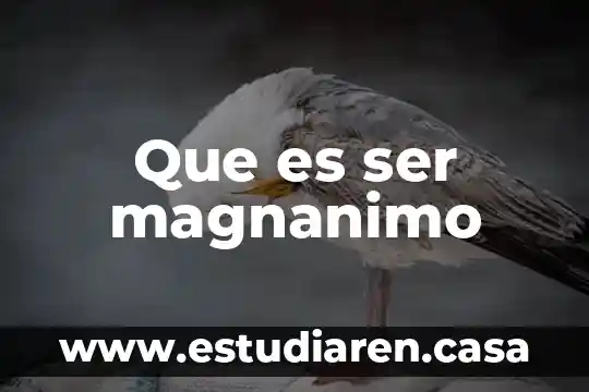 Que es ser magnanimo
