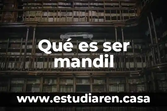 Que es un ser gris 4 Qué es ser mandil
