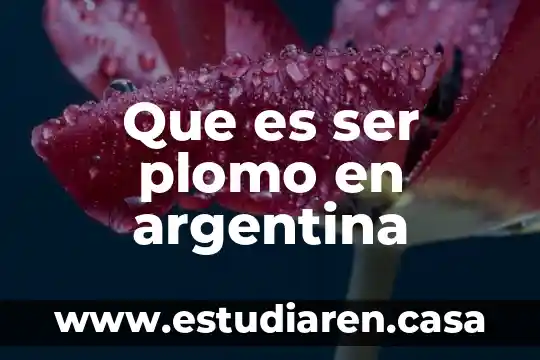 Que es gsolina libre de plomo 3 Que es ser plomo en argentina