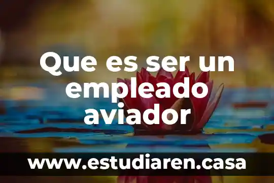 Que es sistema de organizacion 7 Que es ser un empleado aviador