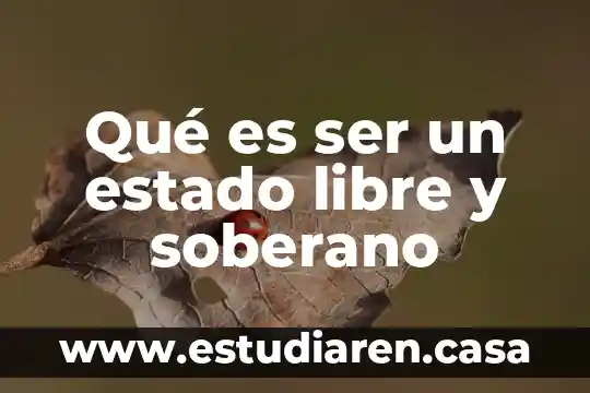 Qué es ser un estado libre y soberano