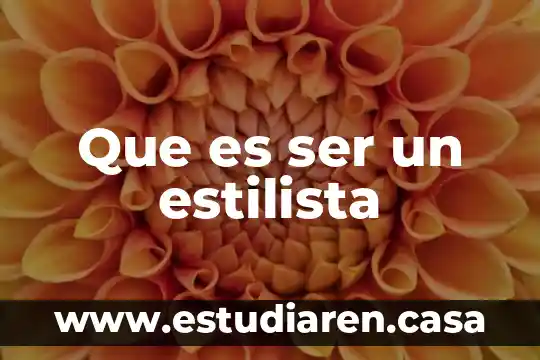 Que es ser contrtistas de la constructora lintel 4 Que es ser un estilista