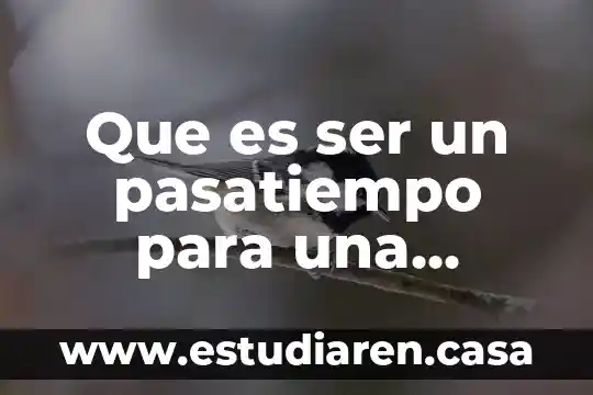 Que es ser un pasatiempo para una persona