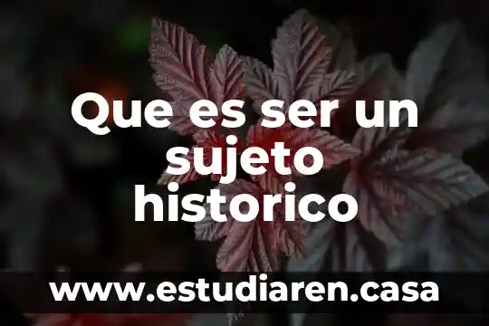 Que es ser un sujeto historico