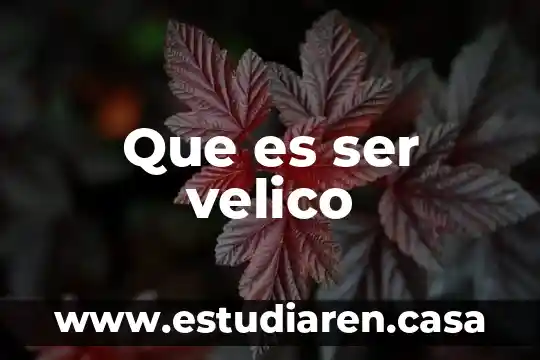 Que es ser un ciudadano responsable del mundo 8 Que es ser velico