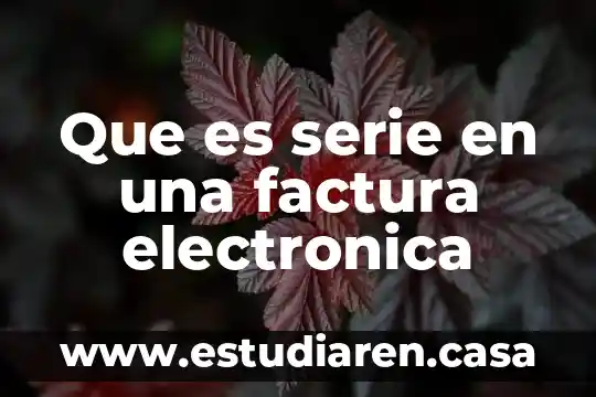 Que es serie en una factura electronica
