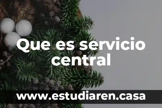 Qué es central en estadística 3 Que es servicio central
