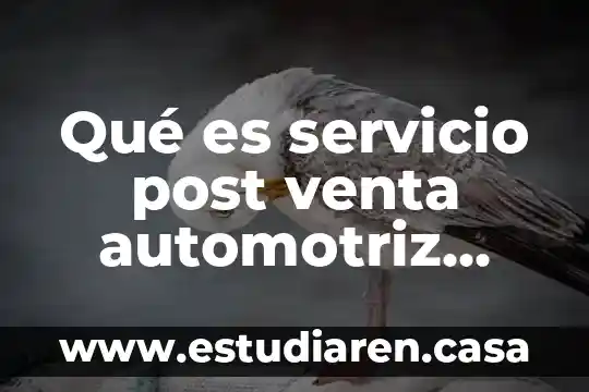 Que es la investigacion ex post facto 7 Qué es servicio post venta automotriz según autores