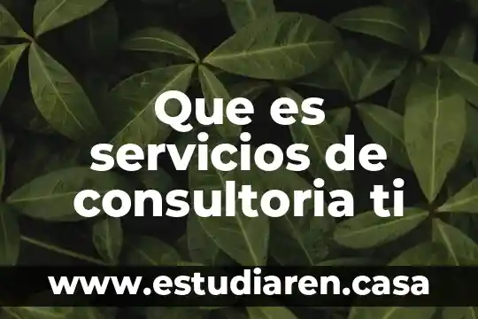 Que es para ti la humanidad 7 Que es servicios de consultoria ti