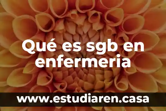 Qué es un rotafolio en enfermería 6 Qué es sgb en enfermeria