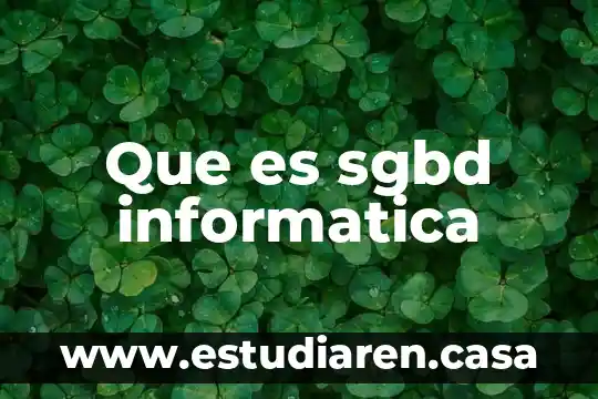Que es sgbd informatica