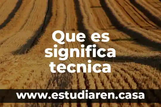 Que es significa tecnica