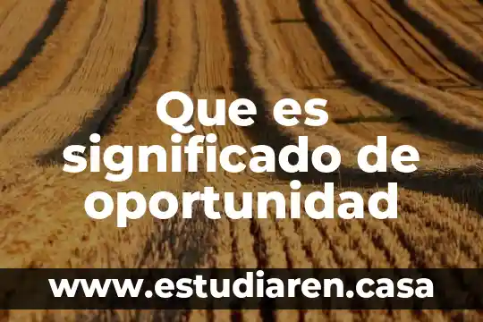 Que es significado de oportunidad