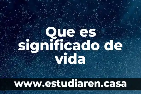 Que es significado de vida