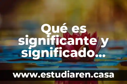 Qué es significante y significado dentro del signo lingüístico