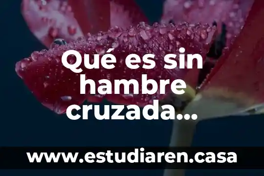 Que es cmic nacional 7 Qué es sin hambre cruzada nacional