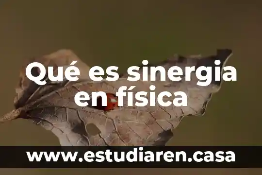 Qué es sinergia en educación física 5 Qué es sinergia en física