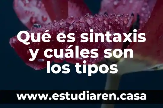 Qué es sintaxis y cuáles son los tipos
