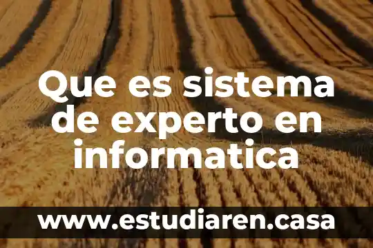 Que es rh como experto administrativo 6 Que es sistema de experto en informatica