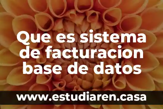 Que es sistema de facturacion base de datos