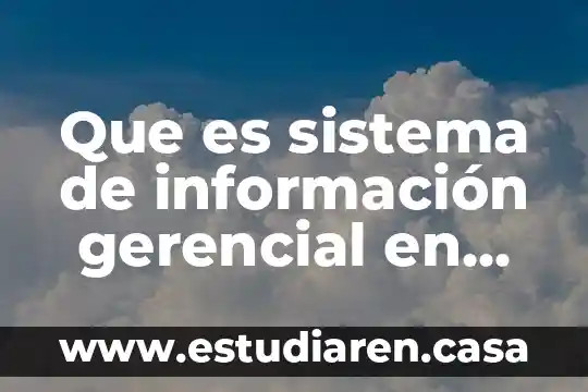 Que es una interrelación en un sistema de informacion gerencial 7 Que es sistema de información gerencial en una empresa