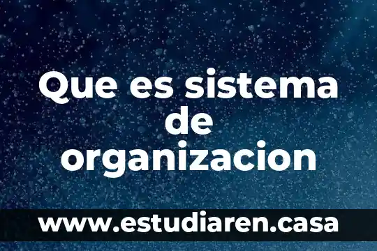 Que es la funcion natural y ejemplos 3 Que es sistema de organizacion