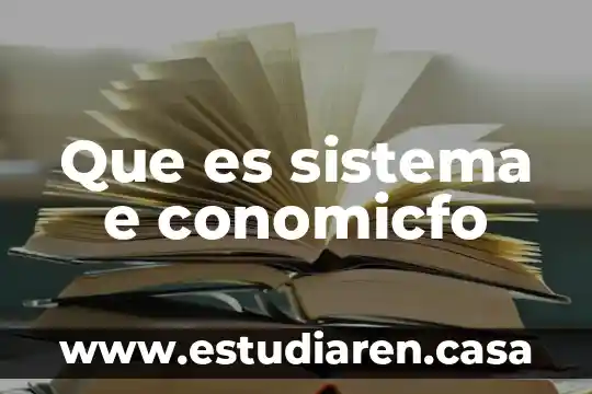 Que es sistema e conomicfo