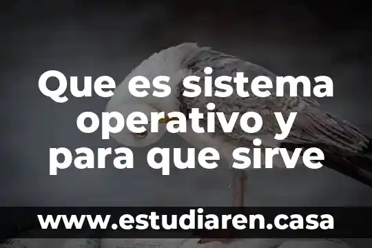Que es el sistema operativo office 2007 3 Que es sistema operativo y para que sirve