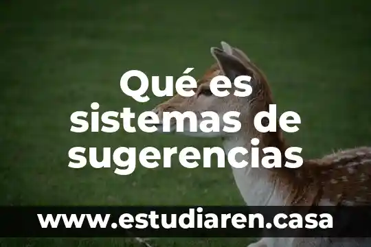 Que es la compra de sistemas 7 Qué es sistemas de sugerencias