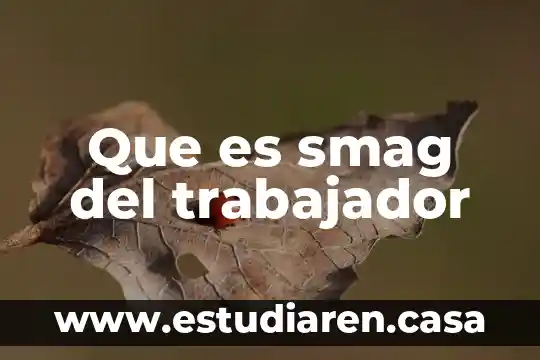 Que es un trabajador yahoo 5 Que es smag del trabajador