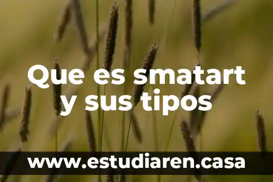 Que es un enlace y tipos de enlaces 6 Que es smatart y sus tipos
