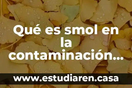 Qué es smol en la contaminación ambiental