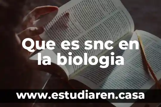 Que es reflexion en biologia 7 Que es snc en la biologia